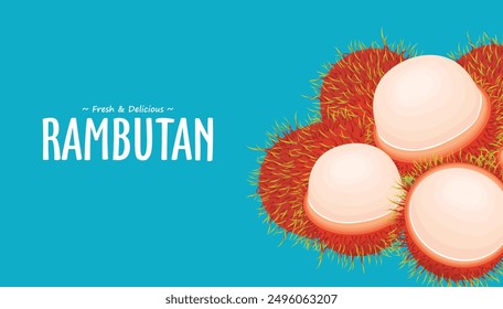 Vintage food poster design with Rambutan