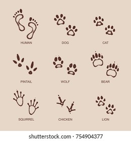 vintage food print human & animal set vector illustration