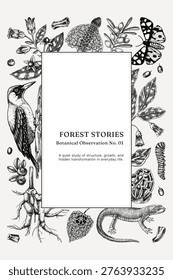 Vintage forest frame design. Natural history background. Poisonous plants, insects and birds hand drawn vector illustration. NOT AI generated 