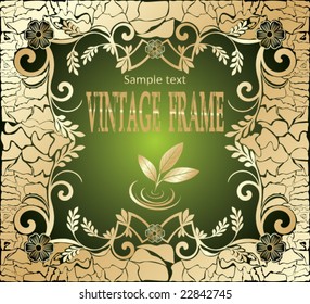 Vintage frame