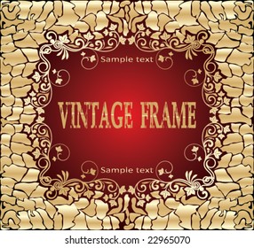 Vintage frame