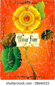 Vintage frame