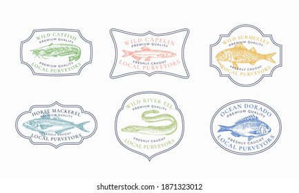 Vintage Frame Badges or Logo Templates Set. Catfish, Capelin, Horse Mackerel, Surmullet, etc. Illustrations. Hand Drawn River and Ocean Fish Sketch Emblems Bundle with Retro Typography. Isolated.