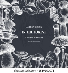 Vintage frame design with culinary mushrooms sketches. Forest plants template on chalkboard. Perfect for recipe, menu, packaging. Hand sketched wild mushrooms background. Seasonal food menu template.