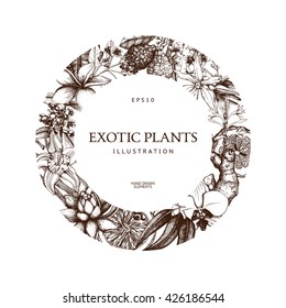 Vintage frame design with ink hand drawn exotic fruit, flowers and leaves sketch. Exotic plants background. Vector template. Isolated on white