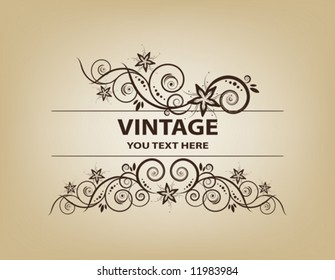 Marco vintage. Elegante. Beige. Asimétrico