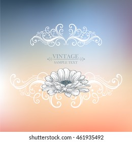 Vintage frame with flowers zinnias. Calligraphic hand drawn vector element for design. Vector illustration.