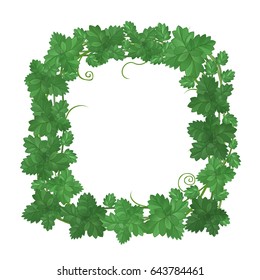 Vintage frame with foliage. Green frame isolated on white background. Vector illustration.