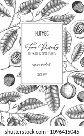 Vintage frame with hand drawn nutmeg tree illustration. Vector hand drawn spice plant design. Engraved style template with aromatic and tonic elements