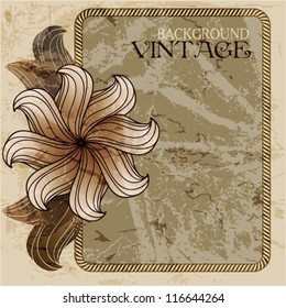 Vintage frame with old paper and flower