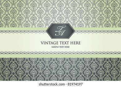 vintage frame on damask background