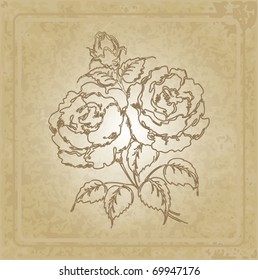 vintage frame with rose