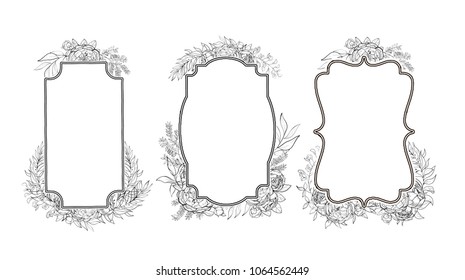 Vintage frames of peonies in botanical style