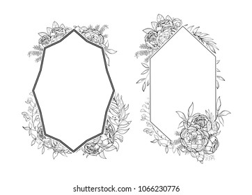 Vintage frames of peonies in botanical style