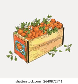Vintage fruit box of oranges chromolithograph, vintage vector element.