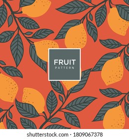 
Vintage Fruit Illustration Background Template