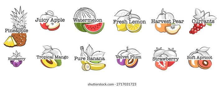 Conjunto de Vector de logotipo de fruta de Antiguas con Ilustraciones dibujadas a mano y composiciones de texto creativas para marca, Plantillas temáticas de granja