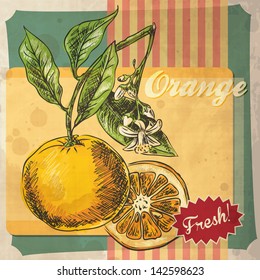 vintage fruit orange retro illustrated vector poster food postcard background retro card design with orange vintage fruit orange retro illustrated vector poster food postcard background classic vegeta