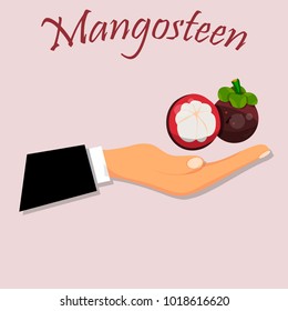 Vintage fruit poster design with fresh and juicy mangosteen. fruit symbol for jam and juice product label or grocery store, shop and farm market design. Mangosteen jam, sauce or juice label