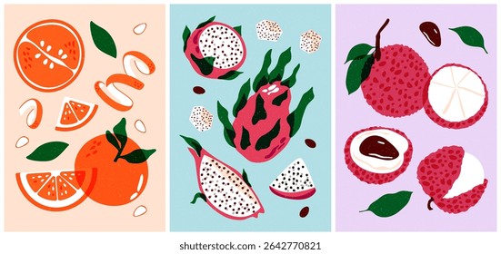 Vintage fruit posters. Tropical citrus fruits with leaves, dragon fruit, orange and lychee, organic natural food collection for packaging design, summer fruit harvest. Vector cartoon set.