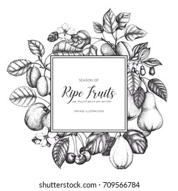 Vintage fruits and berries card design. Vector autumn  template. Hand drawn harvest illustration.