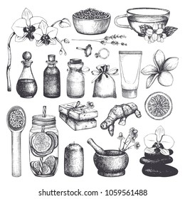 Vintage fset of  hand drawn SPA and Beauty illustrations. Cosmetics and aromatic ingredients collection. Vector healthy life elements.