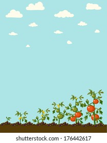 Vintage garden banner with root veggies