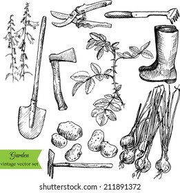 vintage garden set, agreeculture instruments, hand drawn vector illustration