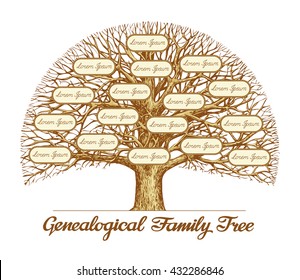 Vintage Genealogical Family Tree. Leafless old oak tree. Dynasty, ancestry. Hand drawn sketch vector illustration