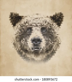 Vintage Geometric Bear Design