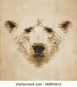 Vintage Geometric Polar Bear Design