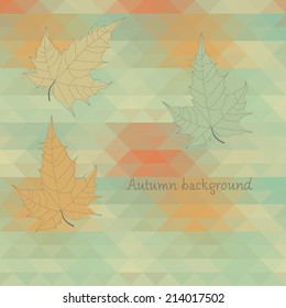 Vintage geometry  with leaf background vector eps 8