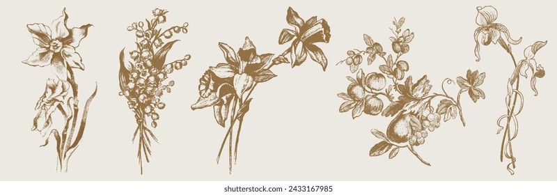 Vintage Gold Flowers and Plants. Hand Engraved Retro Botanical Line Artwork. Botanical Herbs Collection. Vector Set of Hand Drawn Summer Florals, Herbs, Weeds and Meadows. Vintage plants illustration.