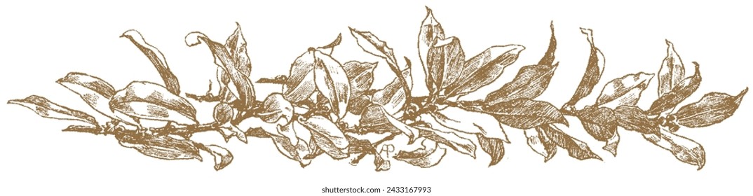 Vintage Gold Flowers and Plants. Hand Engraved Retro Botanical Line Artwork. Botanical Herbs Collection. Vector Set of Hand Drawn Summer Florals, Herbs, Weeds and Meadows. Vintage plants illustration.