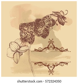 Vintage grange background with frame and orchid with sketch style for design