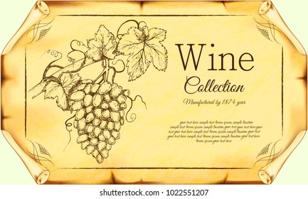 Vintage grape bunch on old paper.