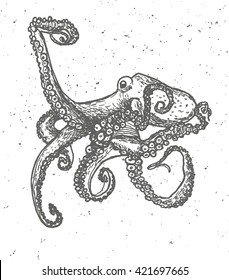 Vintage graphic with octopus,  Vector Print