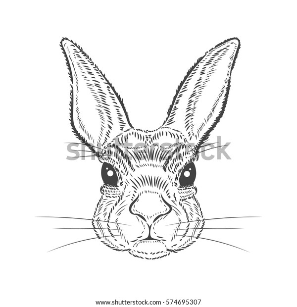 Download Vintage Graphic Rabbit Vector Print Stock Vector (Royalty ...