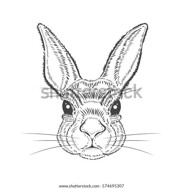 Download Vintage Graphic Rabbit Vector Print Stock Vector (Royalty Free) 574695307