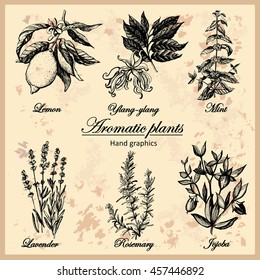 Vintage Graphic set aromatic plants.Set of graphic images.Vintage background. Illustration for greeting cards, invitations, and other printing projects.