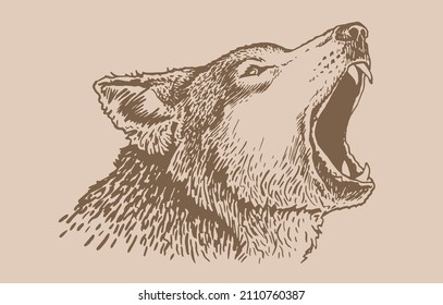 Vintage graphical illustration of wolf, dangerous wild animal
