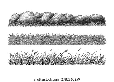 Vintage grass and hedge border illustration featuring botanical landscape textures, natural foliage elements and decorative garden vegetation artwork