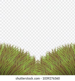 Vintage Green Bush Grass Template,Realistic Style on White Isolated background
