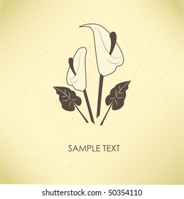 Vintage greeting card with calla lily flower. Vector illustration.