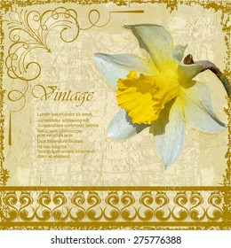 Vintage  greeting card with flower.