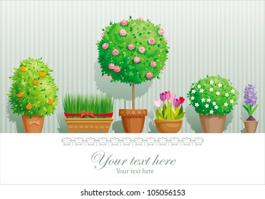 Vintage greeting card with the pot plants collection