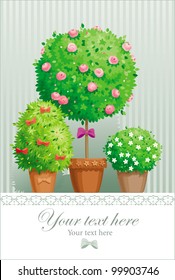 Vintage greeting card with the pot plants collection