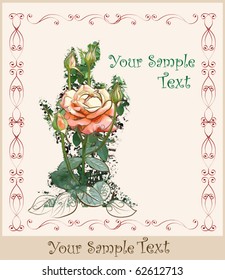 vintage greeting card with rose