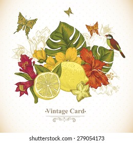 Vintage Greeting Card Tropical Fruit, Flowers, Butterfly and Birds, Vector Illustration. Lemon and Hibiscus