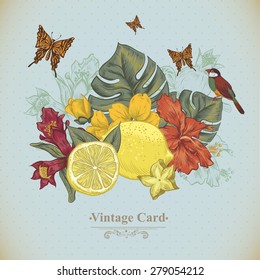 Vintage Greeting Card Tropical Fruit, Flowers, Butterfly and Birds, Vector Illustration. Lemon and Hibiscus